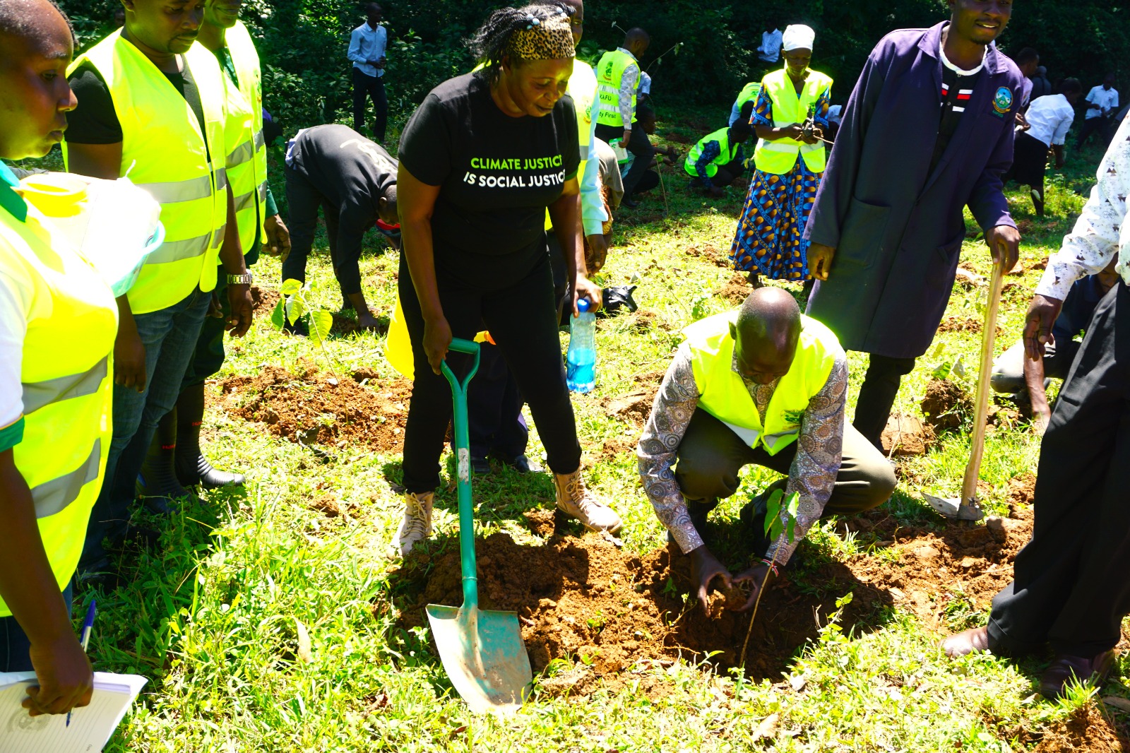 The acting VC planting trees during the drive