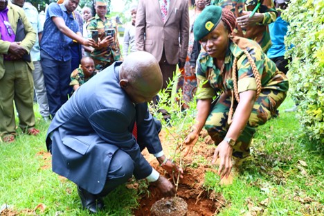 vc_tree_plant.jpg
